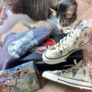 ヒメ日記 2026/01/20 16:56 投稿 れんか 即プレイ専門店 性の極み