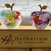 れんか おはようございます 即プレイ専門店 性の極み