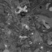 ヒメ日記 2025/12/04 15:12 投稿 明花里(あかり) 人妻城 横浜本店