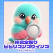 明花里(あかり) ご案内時間変更🙂‍↕️🙏🏼🕰️ 人妻城 横浜本店