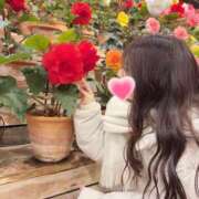 ヒメ日記 2026/01/17 17:00 投稿 ハル Aroma De Pari（アロマ・デ・パリ）