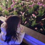 ヒメ日記 2026/01/19 17:00 投稿 ハル Aroma De Pari（アロマ・デ・パリ）