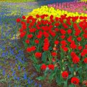 ヒメ日記 2026/03/10 18:20 投稿 上重つぐみ 宇都宮CLUB