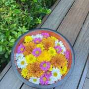 ヒメ日記 2025/12/16 13:27 投稿 華怜（かれん） 不倫快感