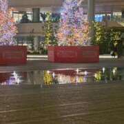 ヒメ日記 2025/12/22 16:57 投稿 華怜（かれん） 不倫快感