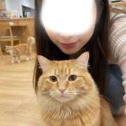 ヒメ日記 2026/02/01 17:01 投稿 星乃　すみれ YOKOHAMA FIVESTAR（横浜ファイブスター）