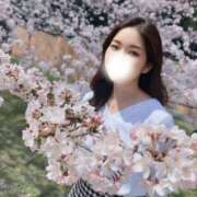 ヒメ日記 2026/03/29 17:30 投稿 星乃　すみれ YOKOHAMA FIVESTAR（横浜ファイブスター）