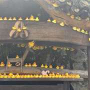 さくら #3.5 Alice池袋