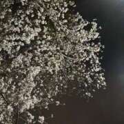 ヒメ日記 2026/04/01 18:56 投稿 ねね 制服これくしょん