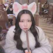 ヒメ日記 2026/02/19 22:29 投稿 なな CECIL