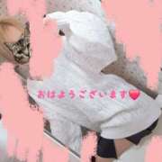 ヒメ日記 2025/11/30 10:16 投稿 市川　ゆりあ エテルナ京都