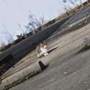 あさお ただいま( ´ ▽ ` )ﾉ 新潟市鳥屋野潟ちゃんこ