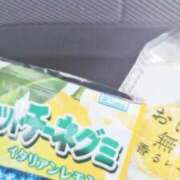 ヒメ日記 2026/03/31 13:56 投稿 あさお 新潟市鳥屋野潟ちゃんこ