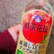 ヒメ日記 2026/04/05 13:56 投稿 あさお 新潟市鳥屋野潟ちゃんこ