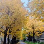 ヒメ日記 2025/11/27 09:50 投稿 せな 奥鉄オクテツ東京店（デリヘル市場）