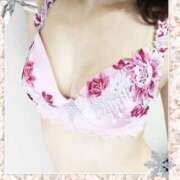 ヒメ日記 2025/12/11 14:20 投稿 せな 奥鉄オクテツ東京店（デリヘル市場）