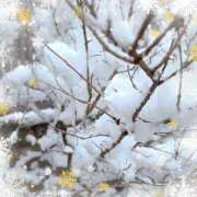 ヒメ日記 2026/02/08 14:05 投稿 兎愛／とあ 埼玉ミセスアロマ（ユメオト）