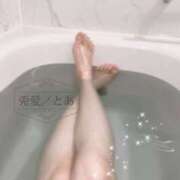 ヒメ日記 2026/02/27 20:10 投稿 兎愛／とあ 埼玉ミセスアロマ（ユメオト）