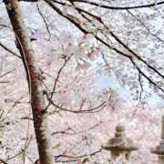 ヒメ日記 2026/04/01 16:47 投稿 兎愛／とあ 埼玉ミセスアロマ（ユメオト）