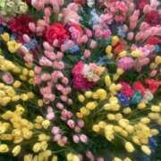 ヒメ日記 2026/04/17 16:14 投稿 寿羽／すう 埼玉ミセスアロマ（ユメオト）