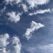 ヒメ日記 2025/12/31 14:13 投稿 一颯／いぶき 埼玉ミセスアロマ（ユメオト）