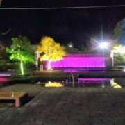 ヒメ日記 2025/12/13 23:03 投稿 結月(ゆづき) 相模原人妻城