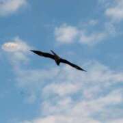 ヒメ日記 2025/12/17 17:18 投稿 結月(ゆづき) 相模原人妻城