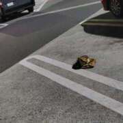 ヒメ日記 2025/12/20 20:03 投稿 結月(ゆづき) 相模原人妻城