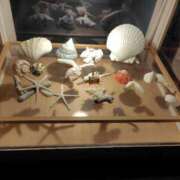 ヒメ日記 2025/12/22 21:18 投稿 結月(ゆづき) 相模原人妻城