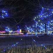 ヒメ日記 2025/12/30 17:18 投稿 結月(ゆづき) 相模原人妻城