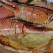 ヒメ日記 2026/01/04 23:33 投稿 結月(ゆづき) 相模原人妻城