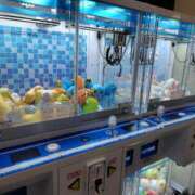 ヒメ日記 2026/01/28 06:03 投稿 結月(ゆづき) 相模原人妻城