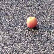 ヒメ日記 2026/04/01 15:03 投稿 結月(ゆづき) 相模原人妻城