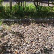 ヒメ日記 2026/04/06 10:48 投稿 結月(ゆづき) 相模原人妻城