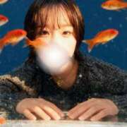 ヒメ日記 2026/02/20 22:10 投稿 うさみ★爆乳Iカップ女神降臨★ Chloe鶯谷・上野店 S級素人清楚系デリヘル