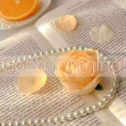 ヒメ日記 2025/11/25 07:19 投稿 すわ エレガンス(広島)