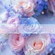 ヒメ日記 2025/12/05 10:08 投稿 すわ エレガンス(広島)