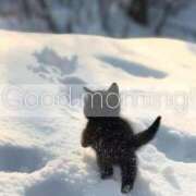 ヒメ日記 2026/01/11 10:05 投稿 すわ エレガンス(広島)