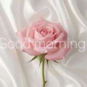 すわ わぁ...あちち...🫠💭 エレガンス(広島)