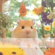 ヒメ日記 2026/01/26 21:08 投稿 すわ エレガンス(広島)