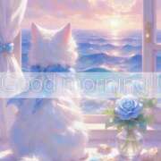 ヒメ日記 2026/02/14 08:48 投稿 すわ エレガンス(広島)