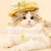 ヒメ日記 2026/02/18 21:48 投稿 すわ エレガンス(広島)