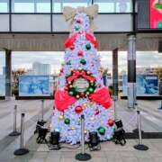 ヒメ日記 2025/12/25 11:44 投稿 椿 かえで 千葉Grand Mrs.