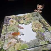 椿 かえで 本日出勤꒰𑁬🩷໒꒱ 千葉Grand Mrs.