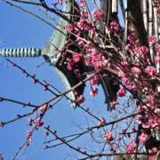 椿 かえで おはようございます🌸 千葉Grand Mrs.