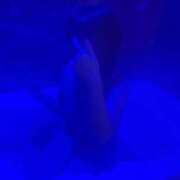 ヒメ日記 2025/12/10 19:18 投稿 あむ ルーフ福井