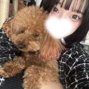 ヒメ日記 2026/03/22 20:50 投稿 あげは 難波女子高生はやめました！！