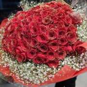 ヒメ日記 2025/11/18 10:56 投稿 おとは 船橋ときめき女学園