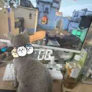 ヒメ日記 2026/01/19 06:18 投稿 黒崎　春 タッチVIP