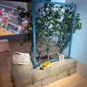 ヒメ日記 2025/12/30 17:04 投稿 水嶋　くるみ タッチVIP